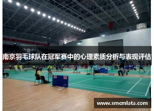 南京羽毛球队在冠军赛中的心理素质分析与表现评估