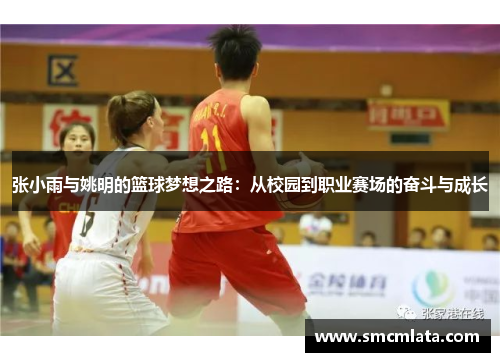 张小雨与姚明的篮球梦想之路：从校园到职业赛场的奋斗与成长