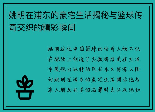 姚明在浦东的豪宅生活揭秘与篮球传奇交织的精彩瞬间